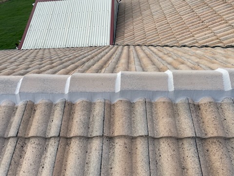 Roof restored by Roof Saver
